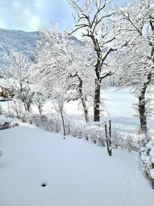 Le D12 * Samoens